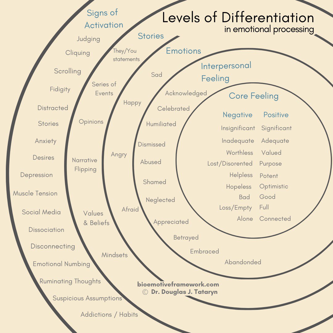 Levels of Differentiation in emotional processing by Dr. Douglas J. Tataryn